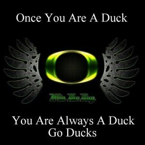 Meet your Posher, Shelly